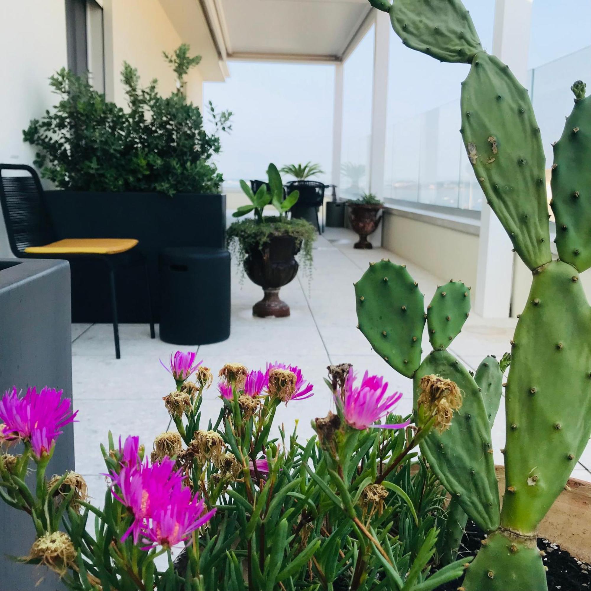 La Terrazza Sul Porto Bed & Breakfast Syracuse Exterior photo